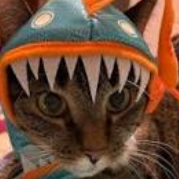 Glow in the dark Angel fish headpiece for cats - Picture 2 of 2